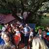 img_20190629_123642_247.jpg